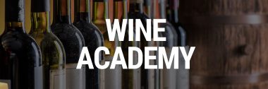 Wine Investment Academy